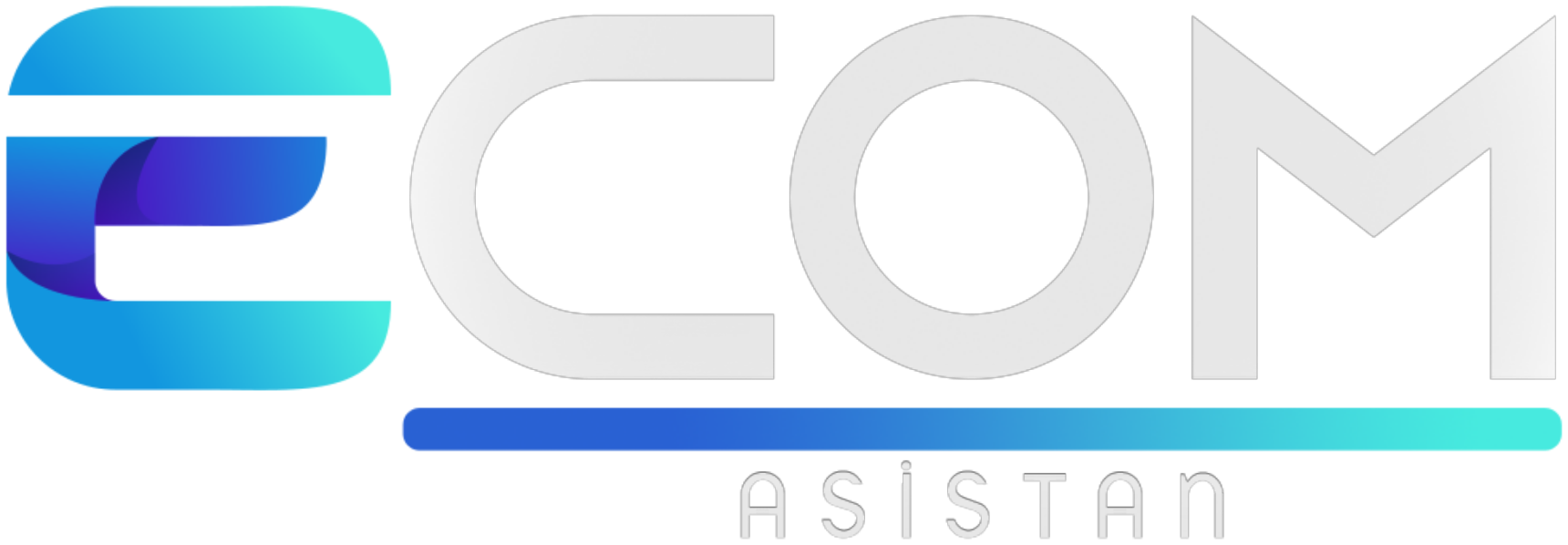 Ecom Asistan